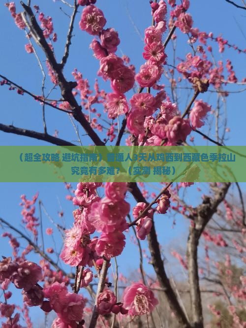鸡西去西藏色季拉山三日游