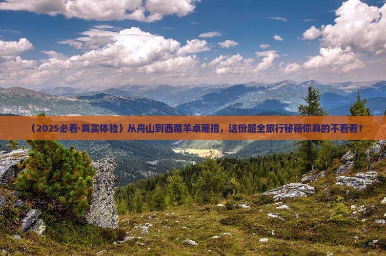 舟山去西藏羊卓雍措团体旅游