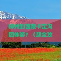 柳州去西藏卡定沟团体旅游