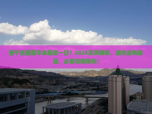 西宁去西藏羊卓雍措一日