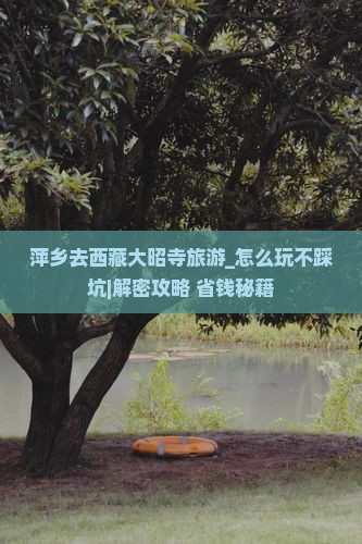萍乡去西藏大昭寺旅游