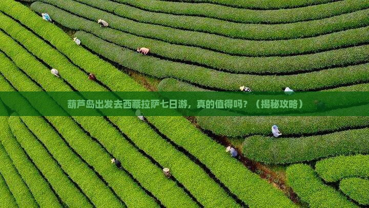 葫芦岛去西藏拉萨七日游