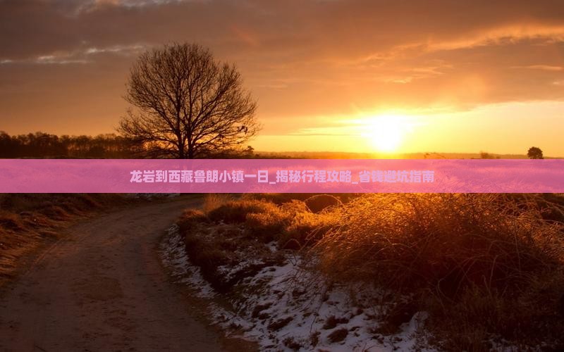 龙岩到西藏鲁朗小镇一日