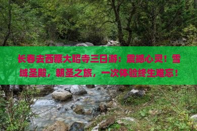 长春去西藏大昭寺三日游