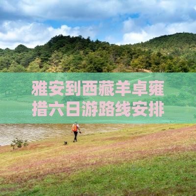 雅安到西藏羊卓雍措六日游