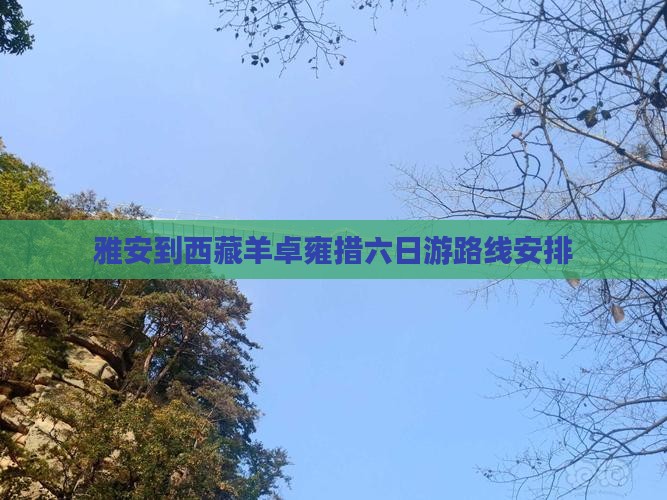 雅安到西藏羊卓雍措六日游