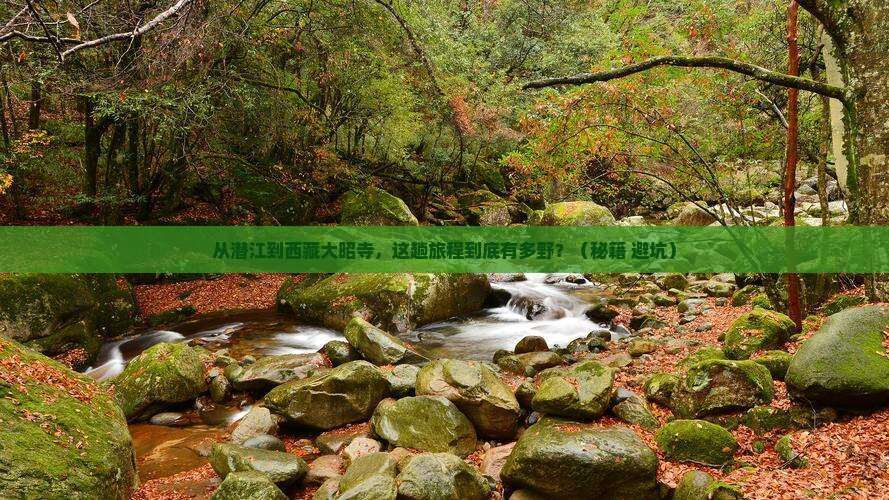 潜江到西藏大昭寺景点