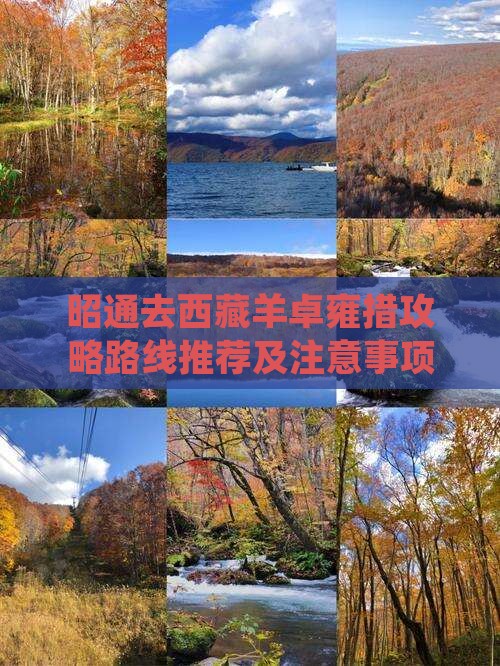 昭通去西藏羊卓雍措攻略