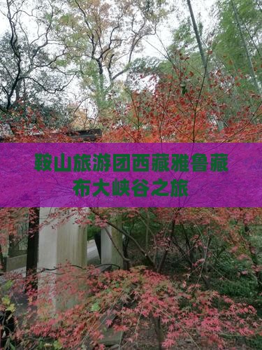 鞍山到西藏雅鲁藏布大峡谷旅行社