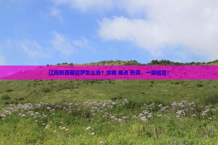 辽阳到西藏拉萨攻略