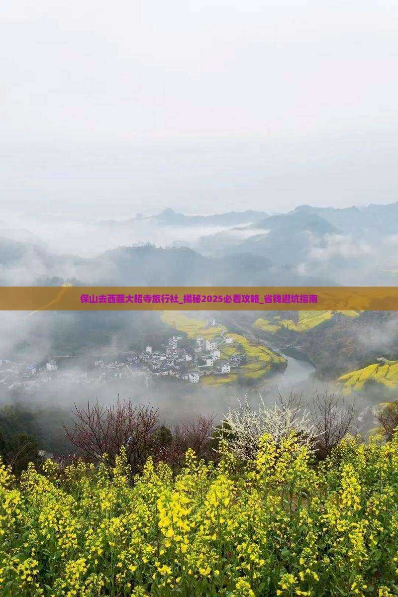 保山去西藏大昭寺旅行社