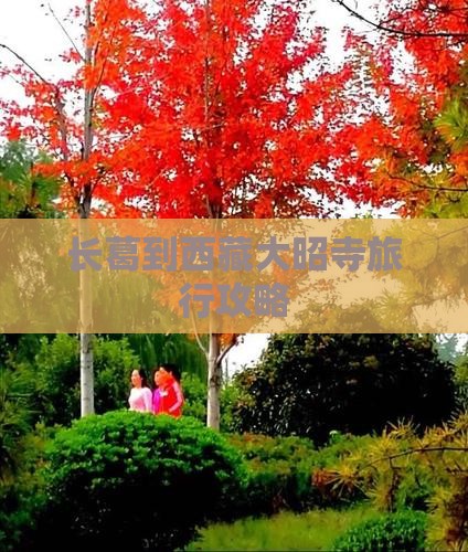 长葛到西藏大昭寺攻略