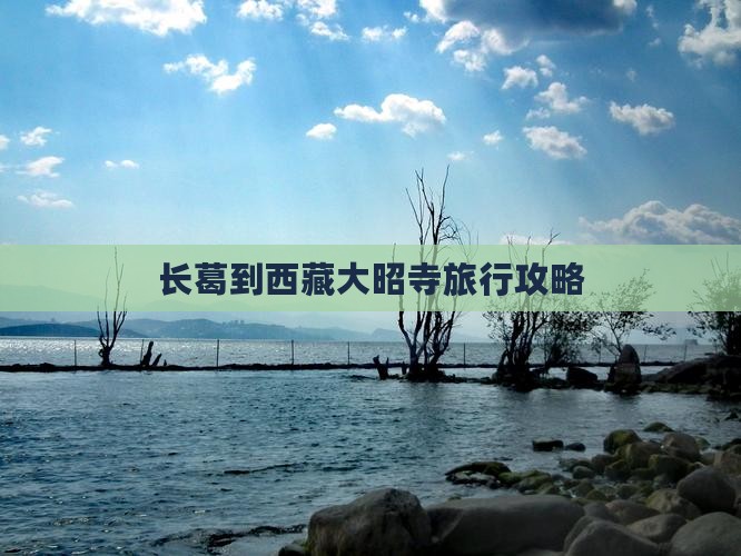 长葛到西藏大昭寺攻略