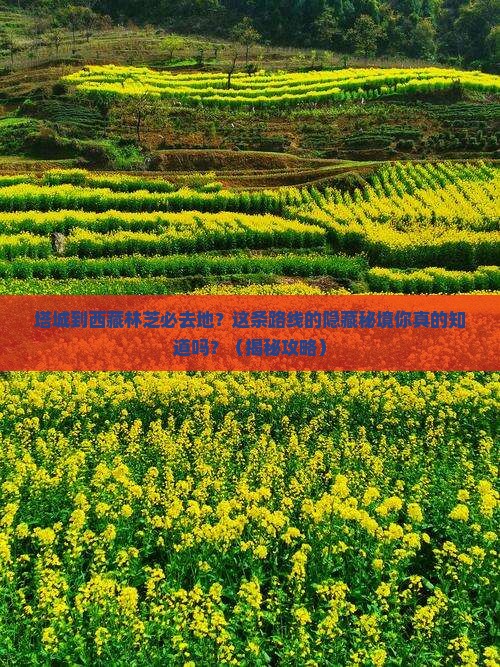 塔城到西藏林芝必去地