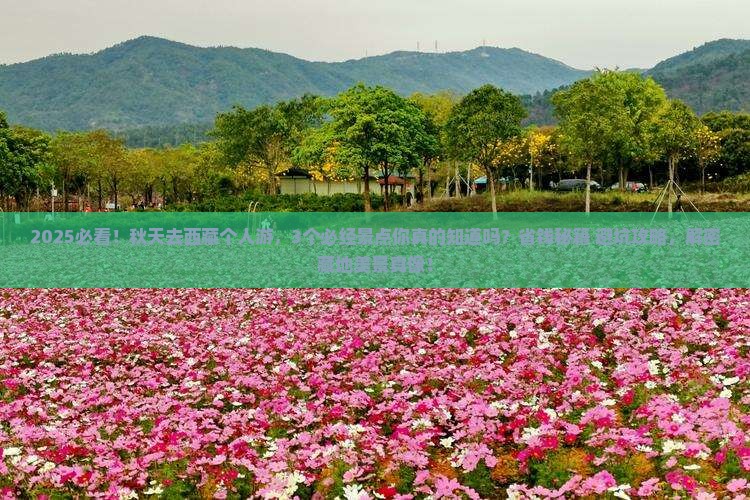 秋天到西藏个人游