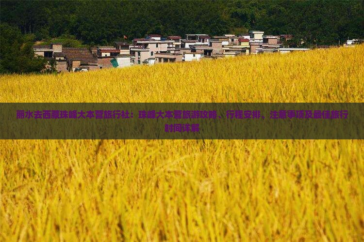丽水去西藏珠峰大本营旅行社
