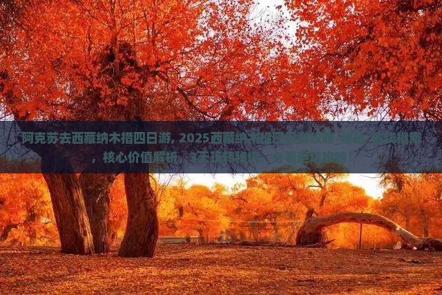 阿克苏去西藏纳木措四日游