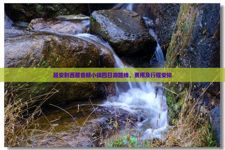 延安到西藏鲁朗小镇四日游