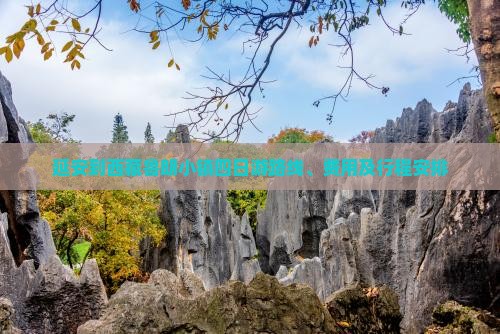 延安到西藏鲁朗小镇四日游