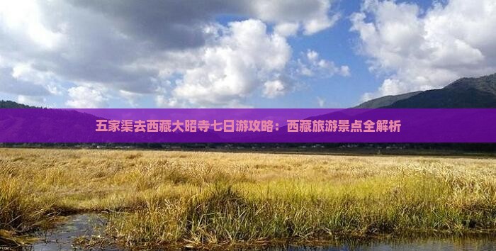 五家渠去西藏大昭寺七日游
