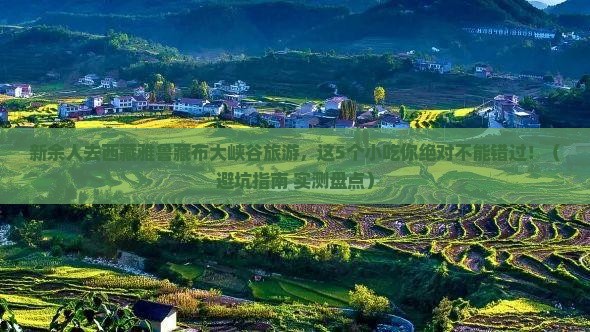 新余去西藏雅鲁藏布大峡谷旅游小吃
