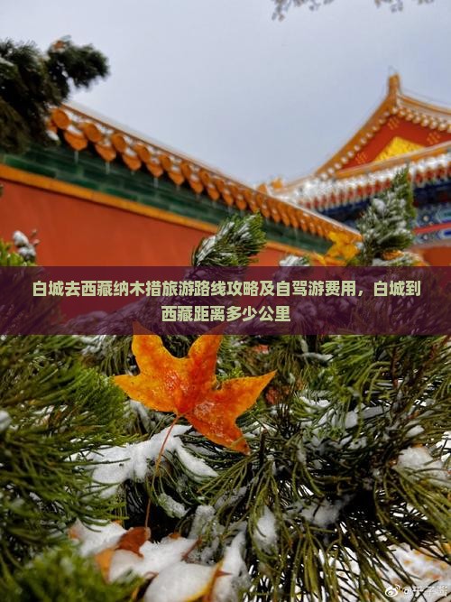 白城去西藏纳木措旅游