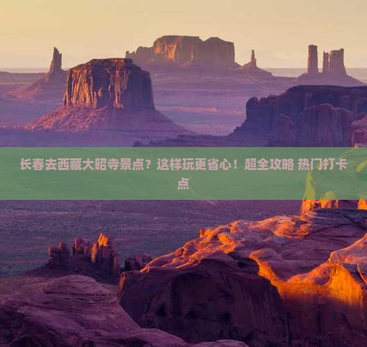 长春去西藏大昭寺景点