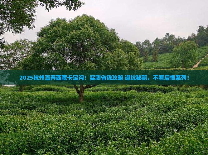 杭州到西藏卡定沟旅行社