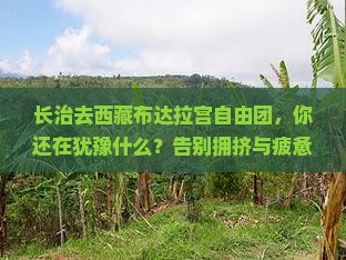 长治去西藏布达拉宫自由团