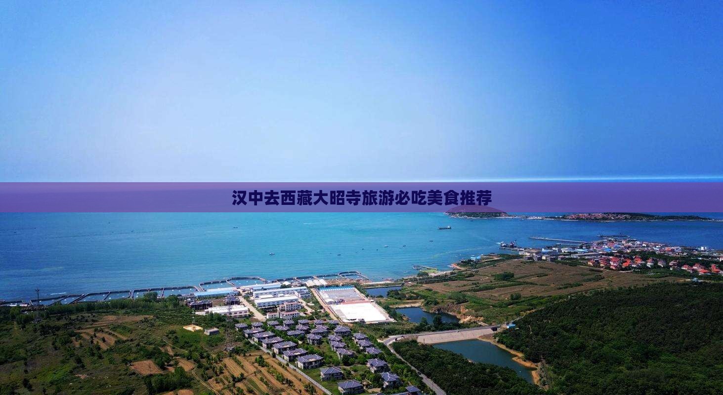汉中去西藏大昭寺旅游小吃