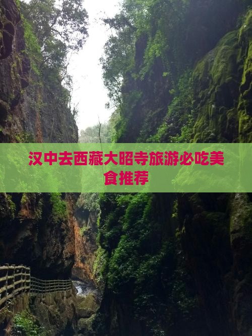 汉中去西藏大昭寺旅游小吃