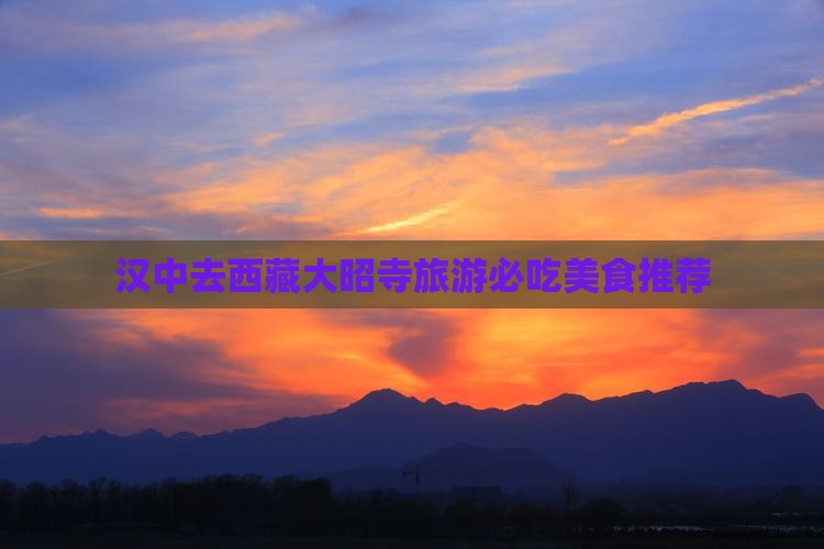 汉中去西藏大昭寺旅游小吃