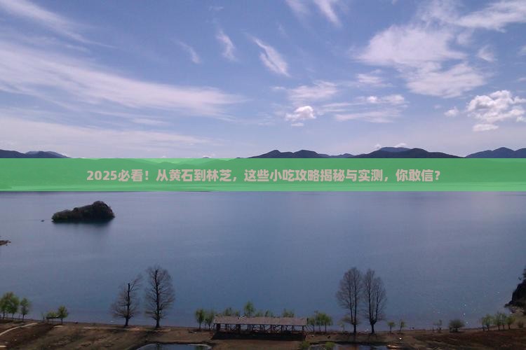 黄石到西藏林芝旅游小吃