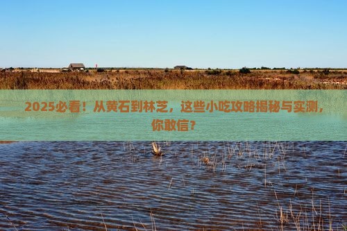 黄石到西藏林芝旅游小吃