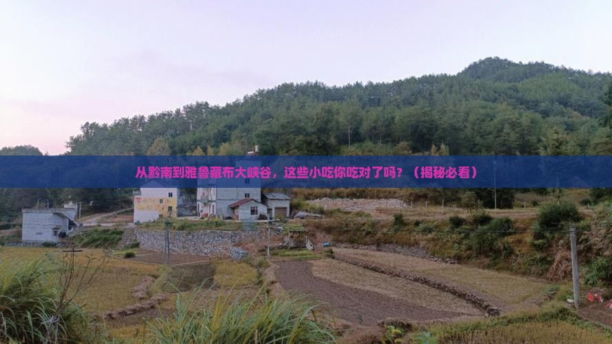 黔南到西藏雅鲁藏布大峡谷旅游小吃