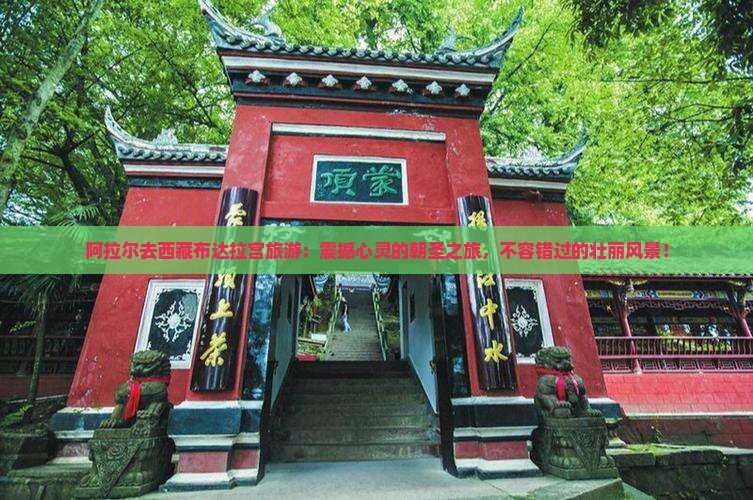 阿拉尔去西藏布达拉宫旅游