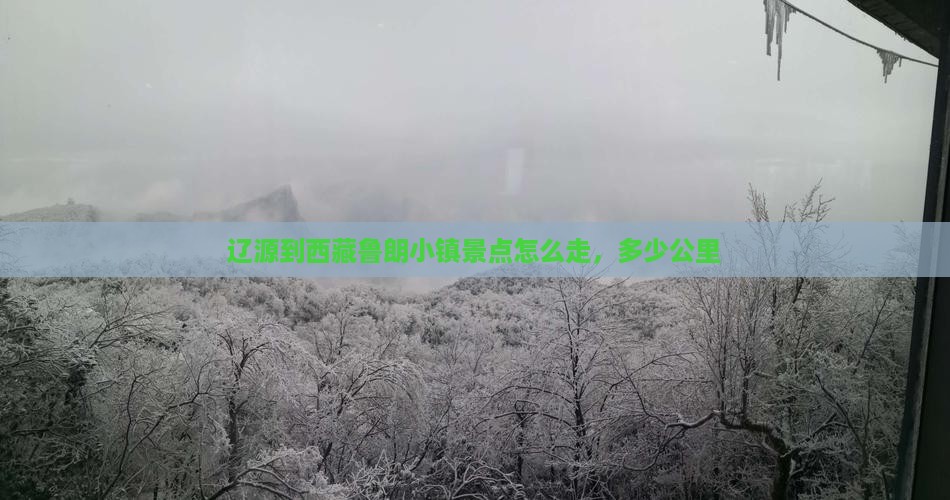 辽源到西藏鲁朗小镇景点
