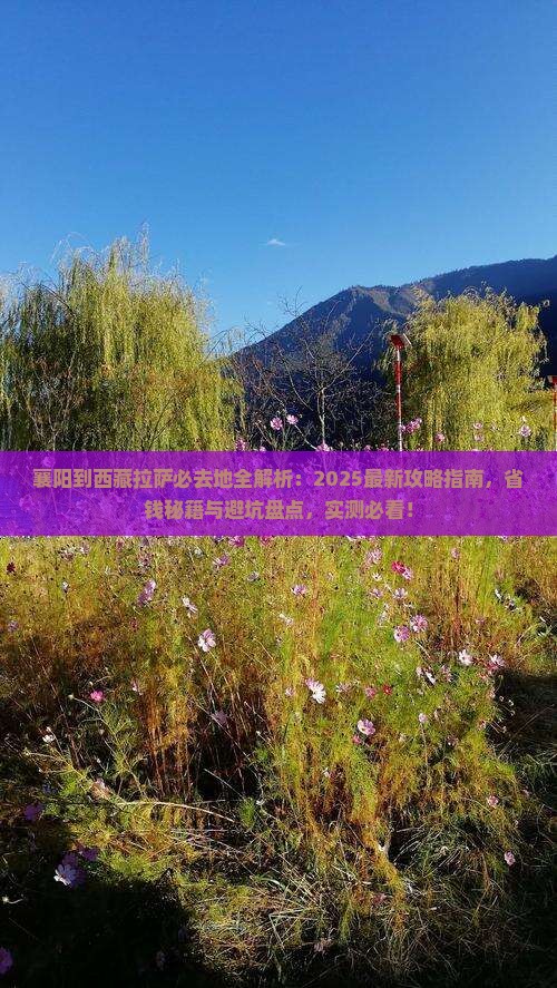 襄阳到西藏拉萨必去地