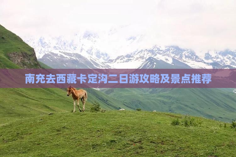 南充去西藏卡定沟二日游