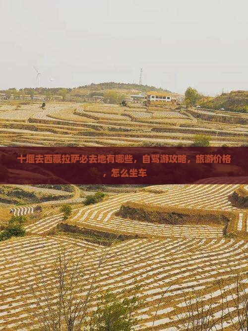 十堰去西藏拉萨必去地