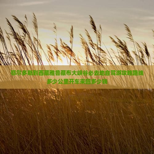 鄂尔多斯到西藏雅鲁藏布大峡谷必去地
