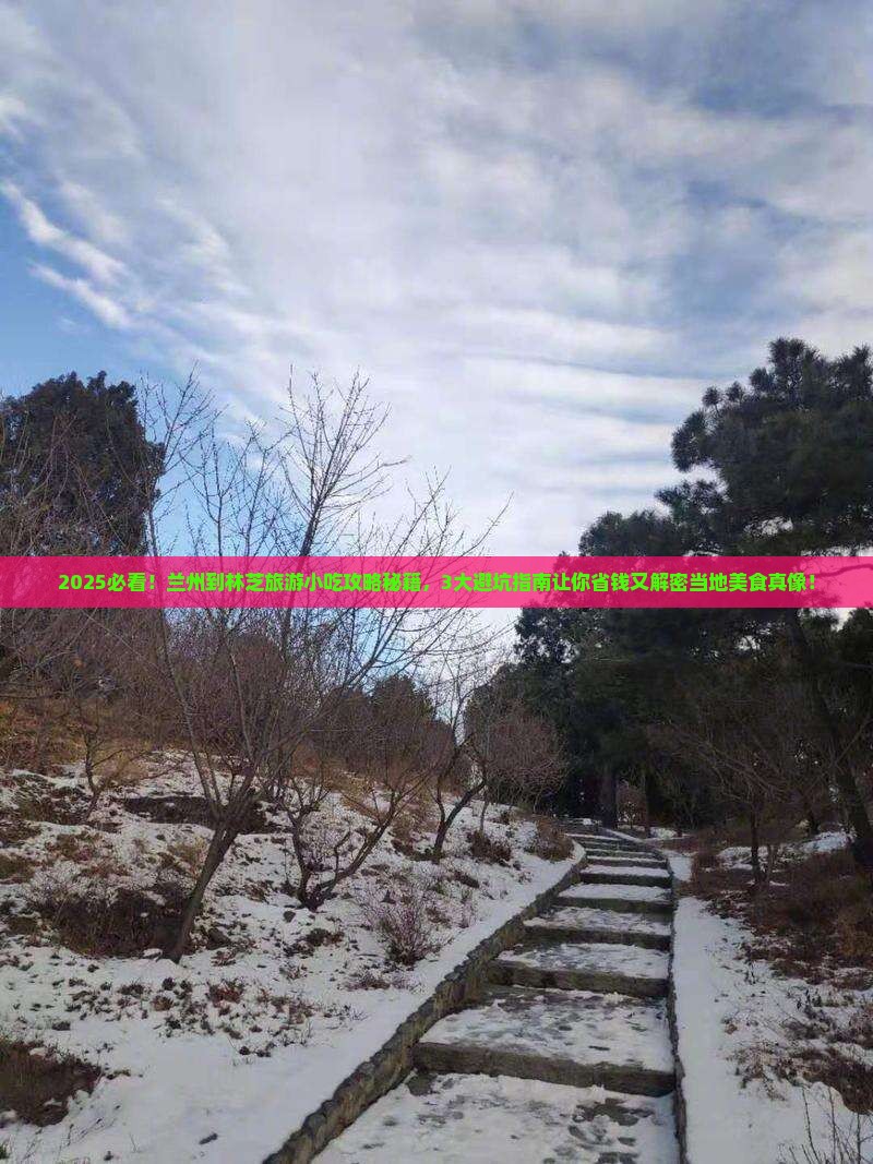 兰州到西藏林芝旅游小吃