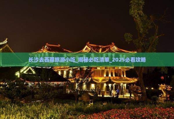 长沙去西藏旅游小吃