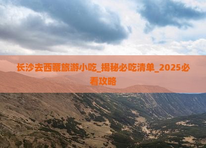 长沙去西藏旅游小吃