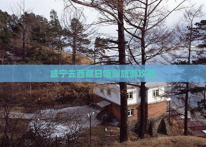 咸宁去西藏日喀则旅行社