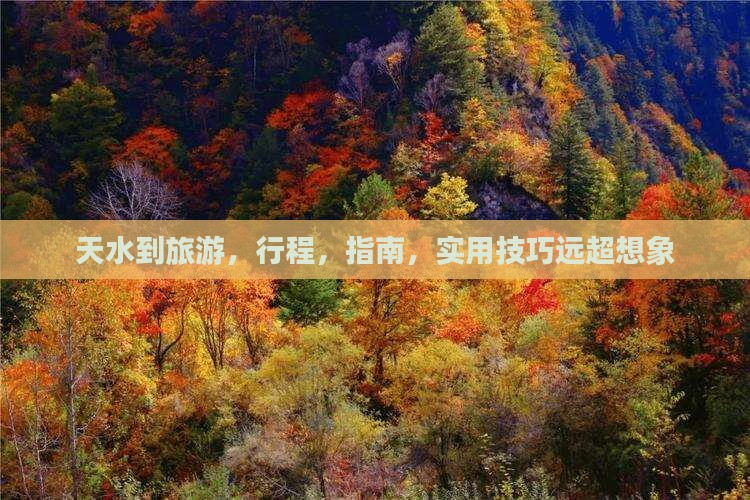 天水到西藏旅游
