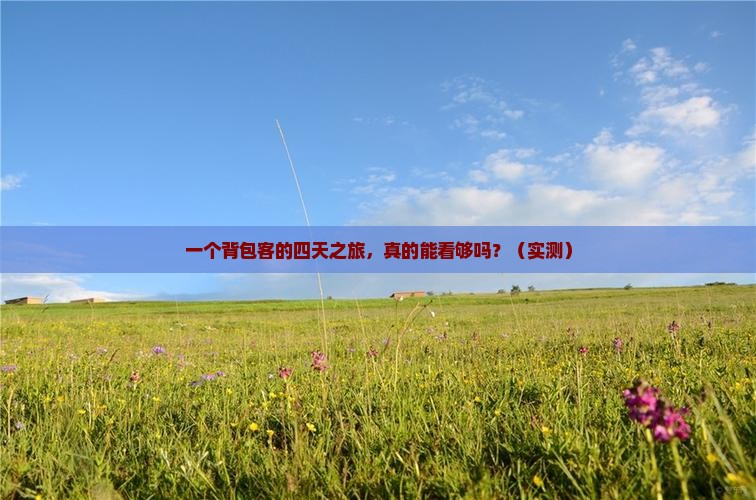 上海到西藏四日游 上海到西藏四日游