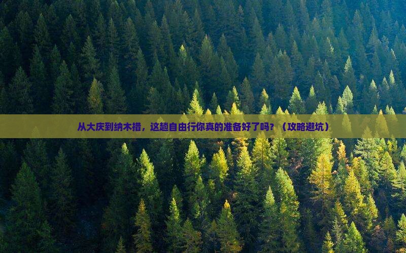 大庆到西藏纳木措自由行