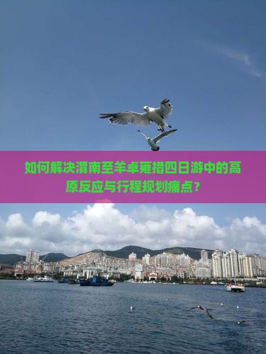 如何解决渭南至羊卓雍措四日游中的高原反应与行程规划痛点？