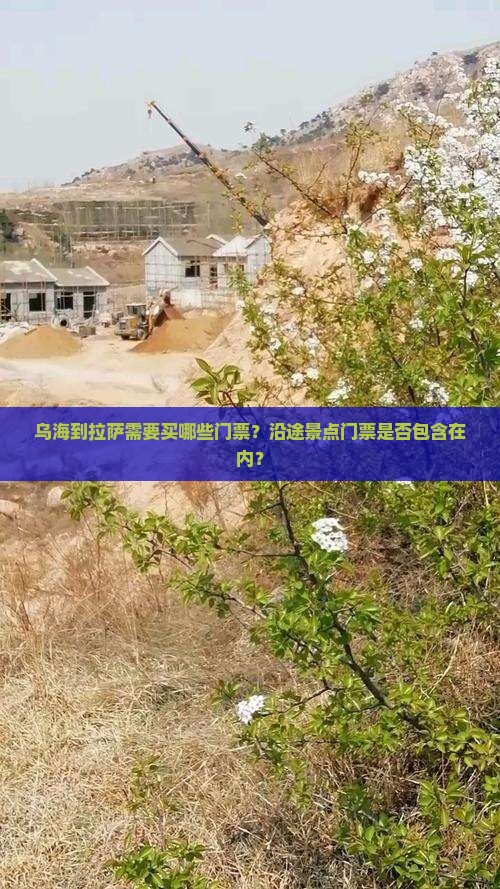 乌海到拉萨需要买哪些门票？沿途景点门票是否包含在内？